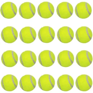 20 Pcs Pet Dog Tennis Ball Premium Fetch Toy 2 Inch Mini Tennis Ball for Puppy Small Dog