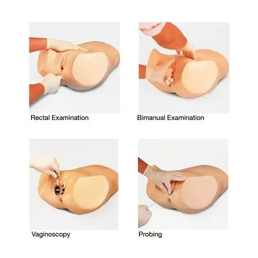 Koken Gynecological Examination Simulator