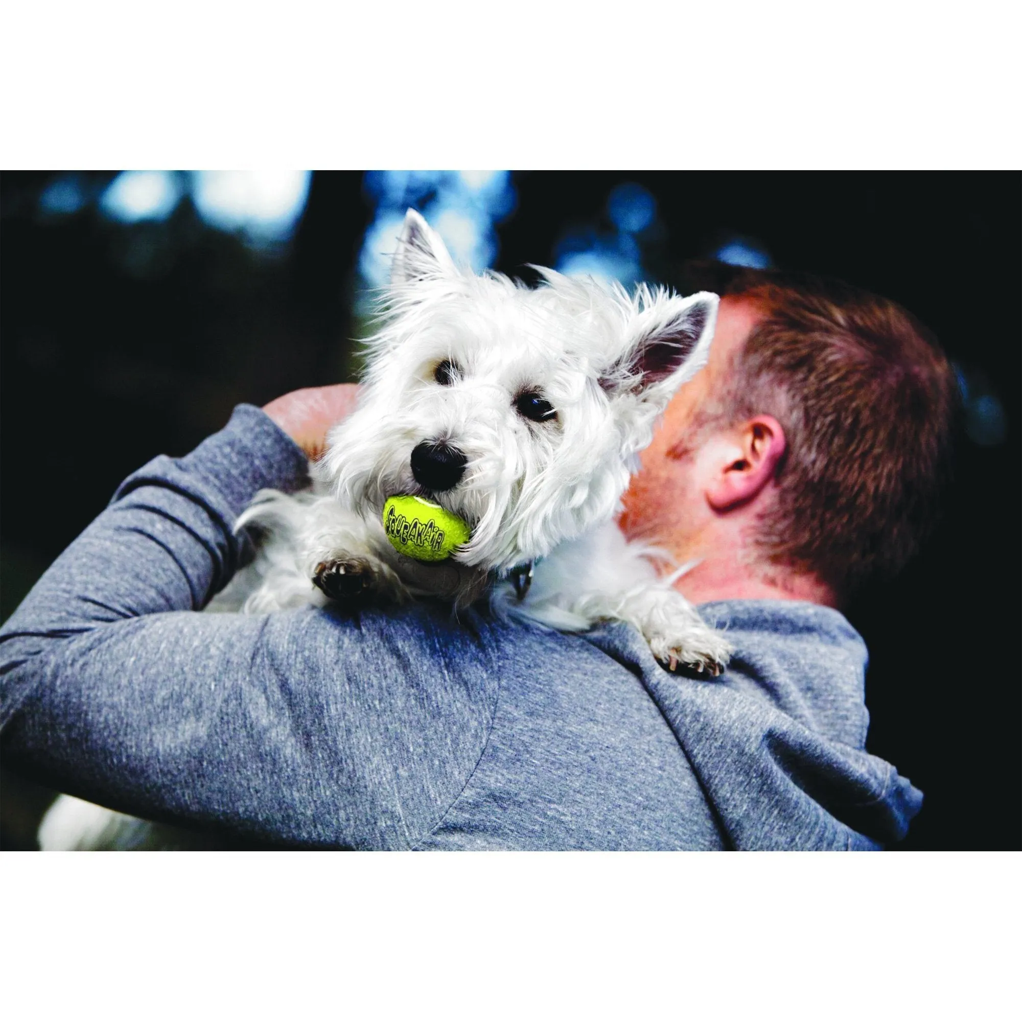 KONG Airdog Squeaker Balls Medium Dog Toy 3 Pack