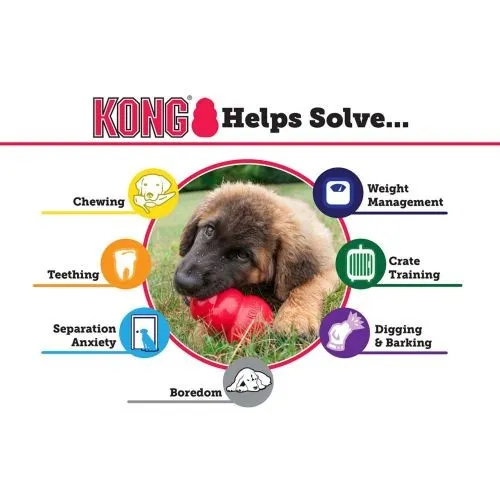 KONG Puppy Chew Toy Medium