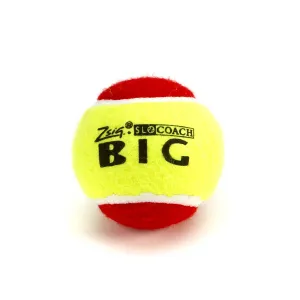 Mini Tennis | Red Stage | SLOcoach Big Red Ball