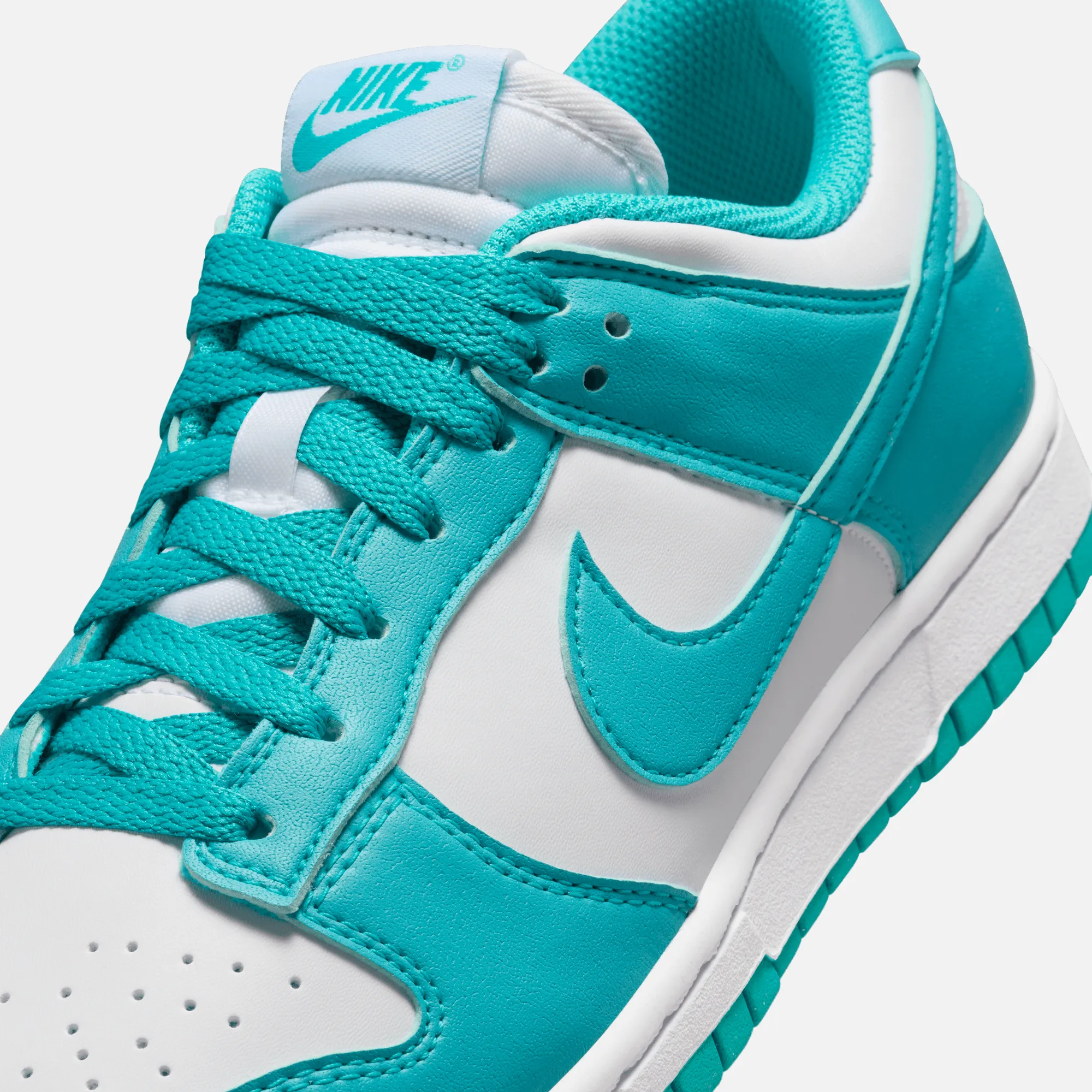 Nike Women's Dunk Low Next Nature Dusty Cactus