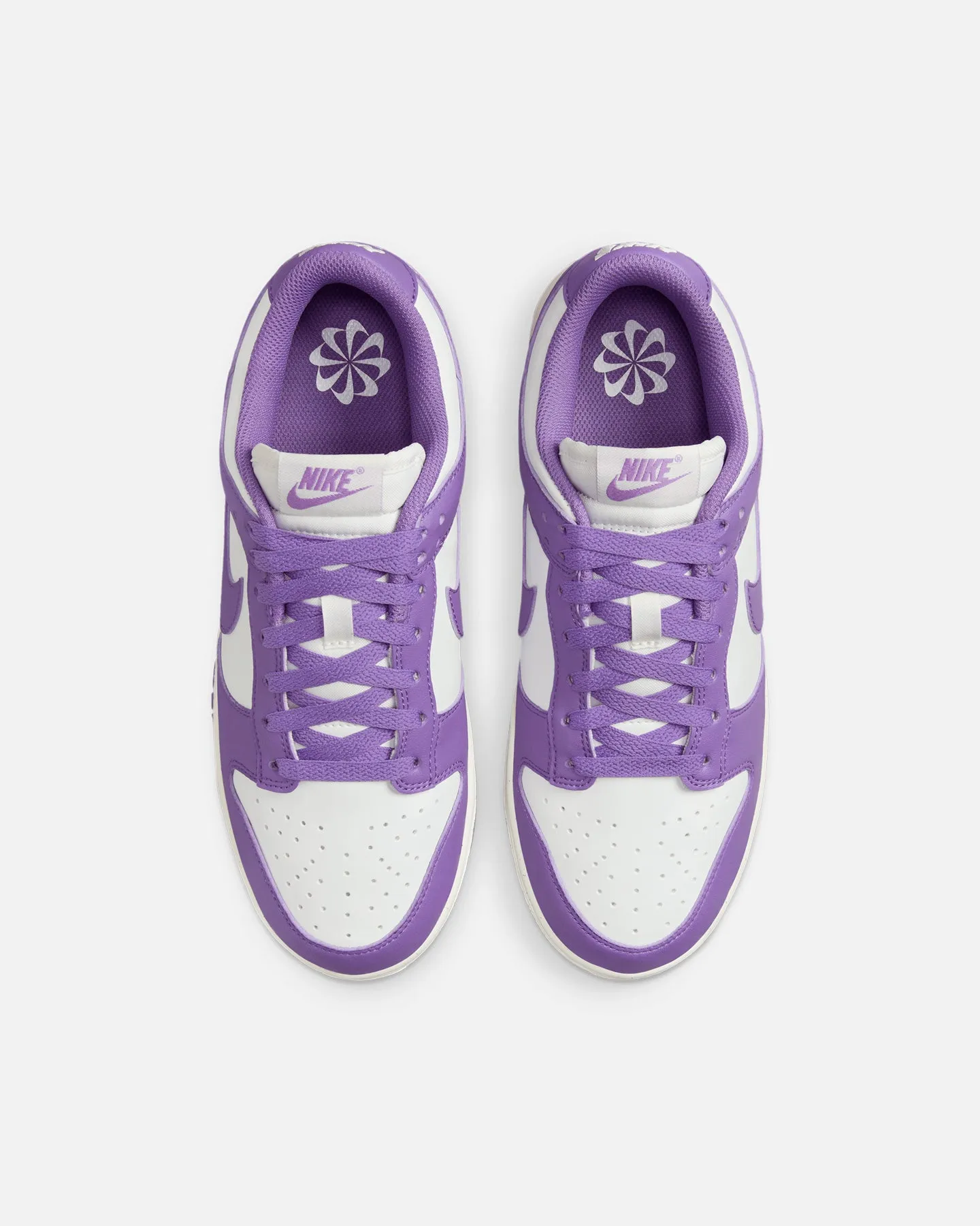 Nike Women's Dunk Low Summit White/Black Raspberry