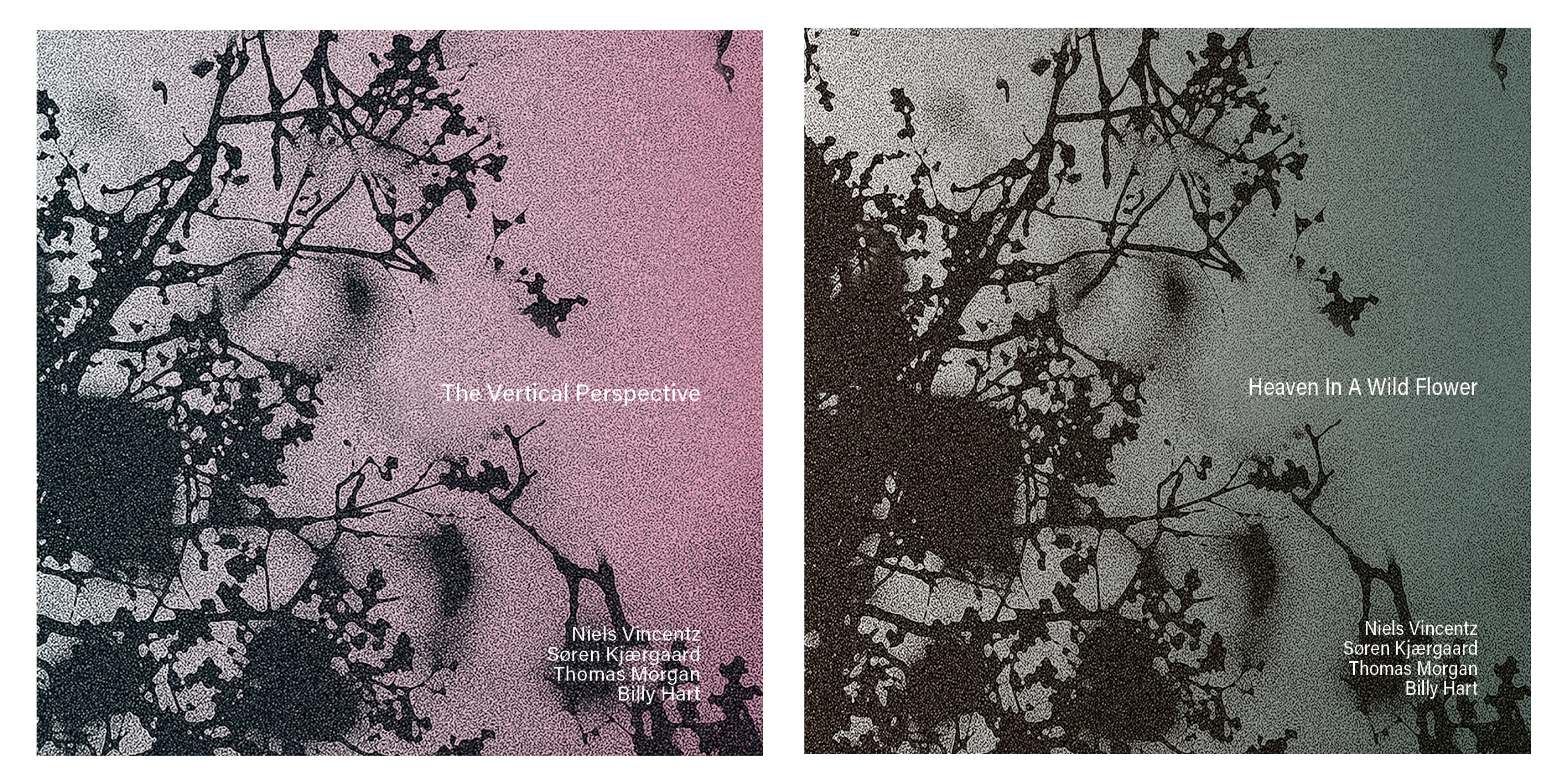 The Vertical Perspective & Heaven In A Wild Flower (2CD Bundle)