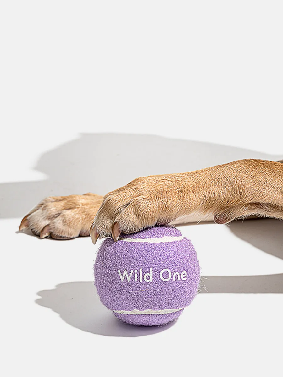 Wild One Tennis Balls